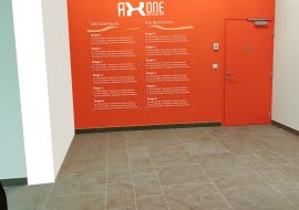 Axone vestibule